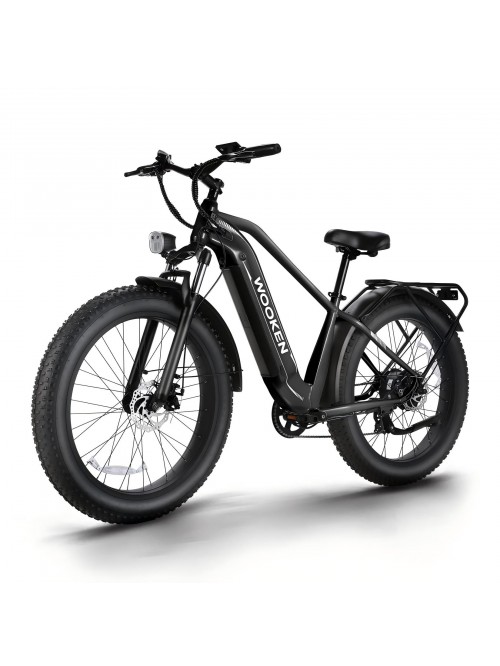WOOKEN Electric Bike for Adults, 750W Ebike, 25MPH...