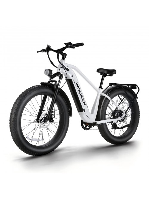 WOOKEN Electric Bike for Adults, 750W Ebike, 25MPH...